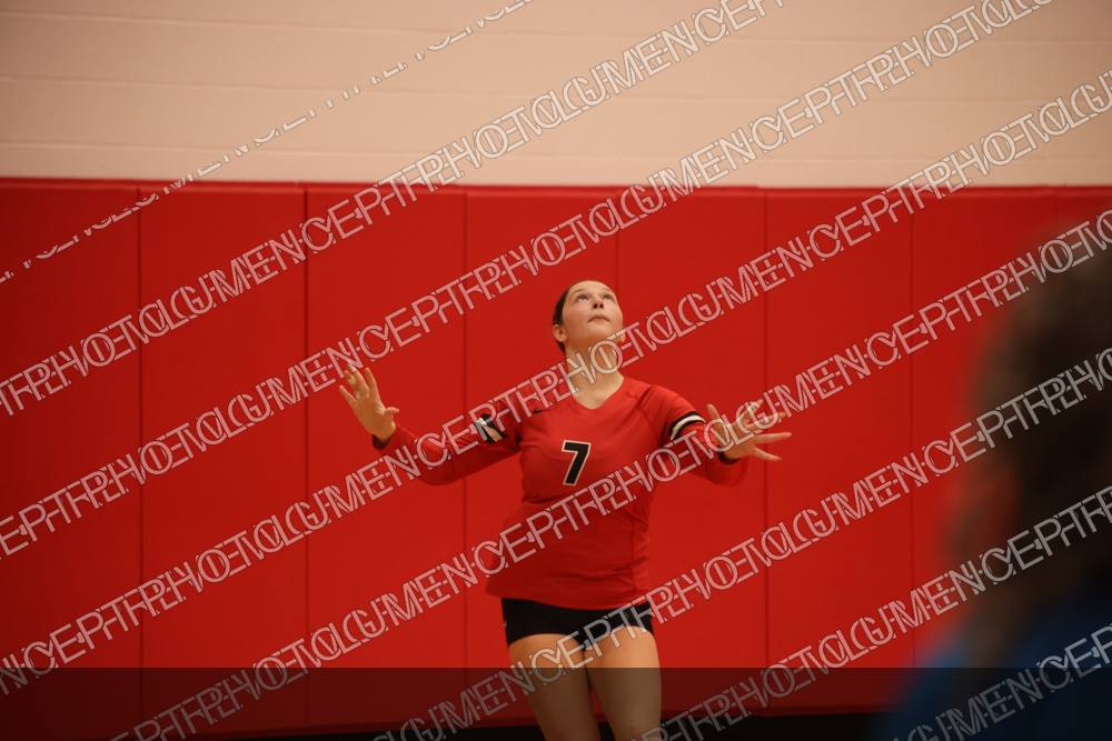 Photo preview