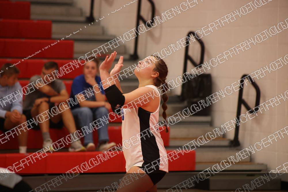 Photo preview