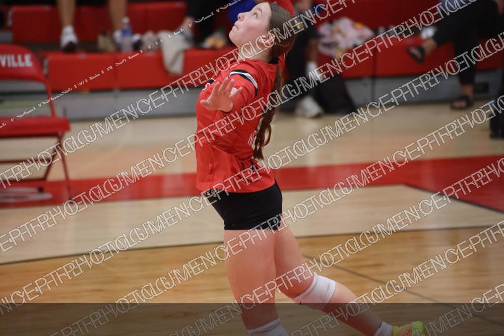 Photo preview