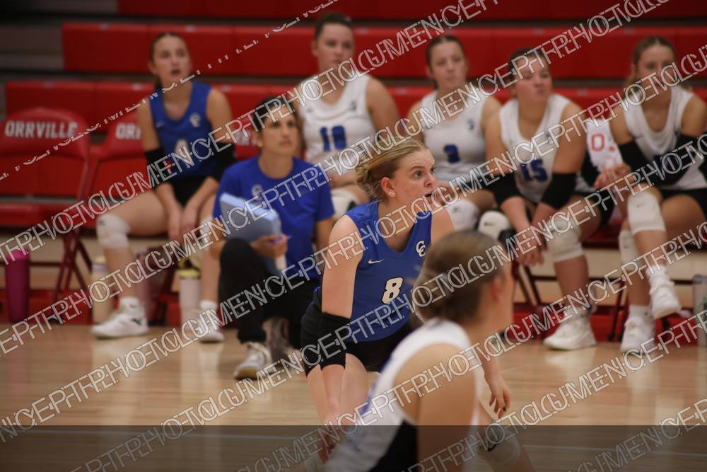 Photo preview