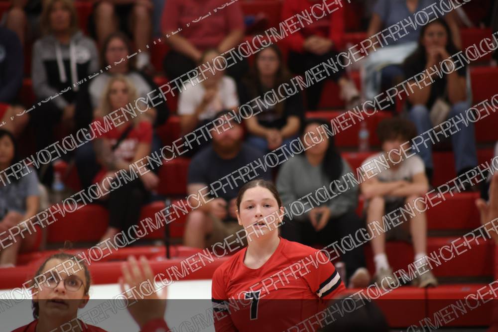 Photo preview