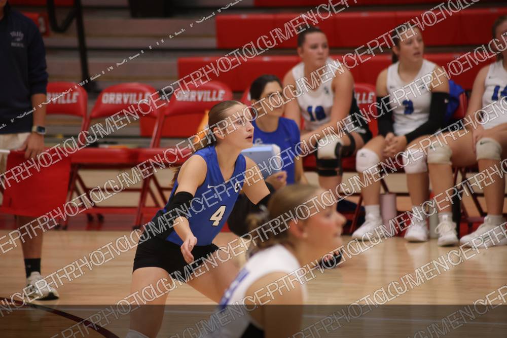 Photo preview