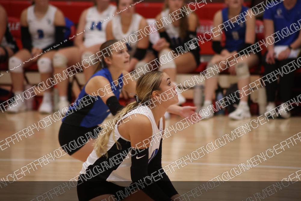 Photo preview