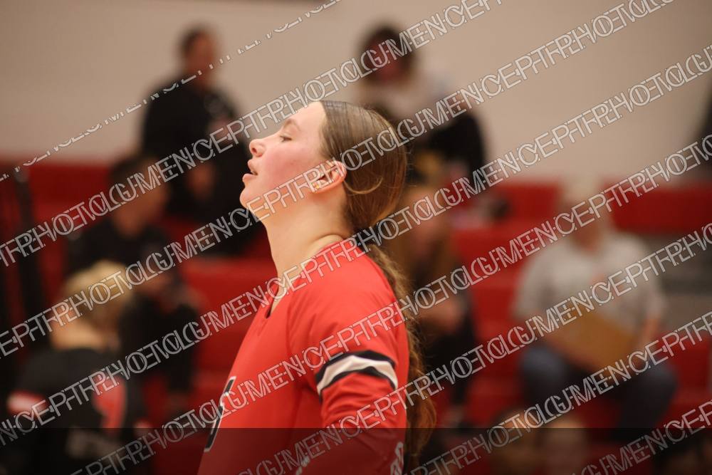 Photo preview