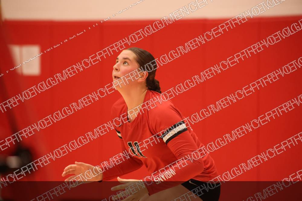 Photo preview