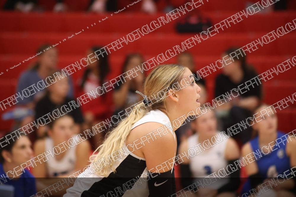 Photo preview