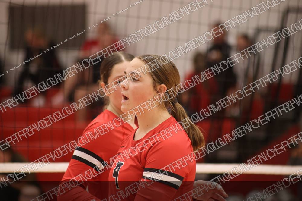 Photo preview