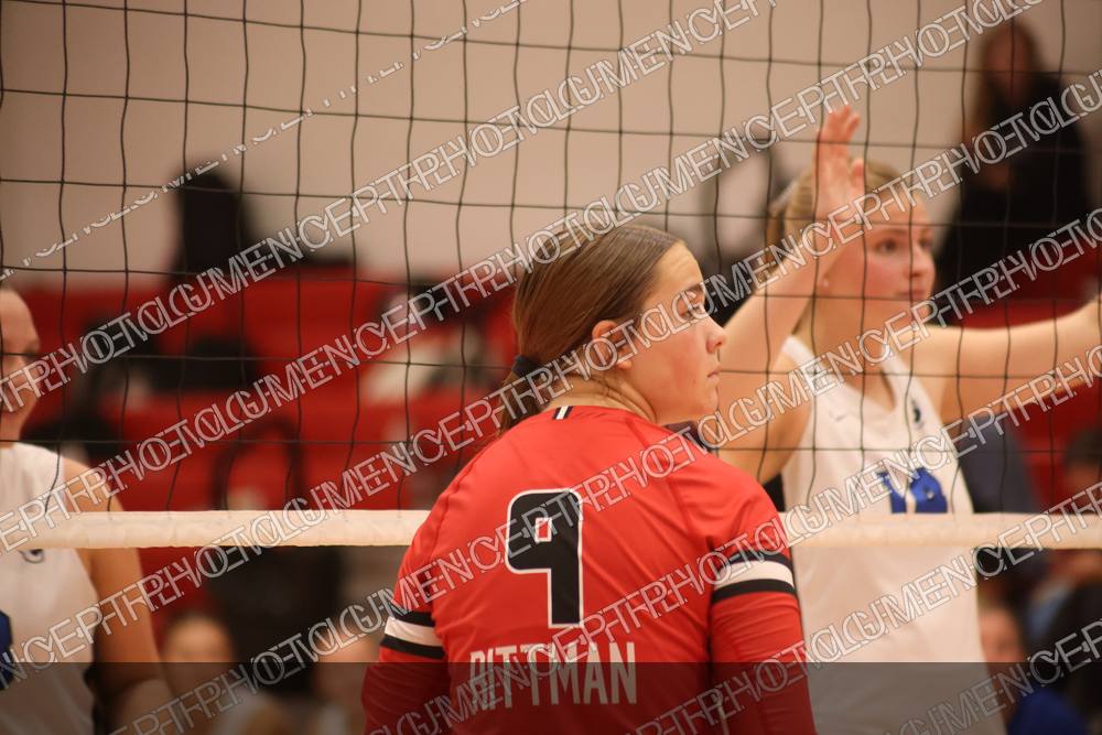 Photo preview