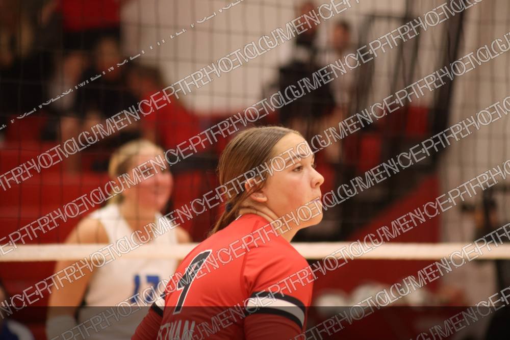 Photo preview