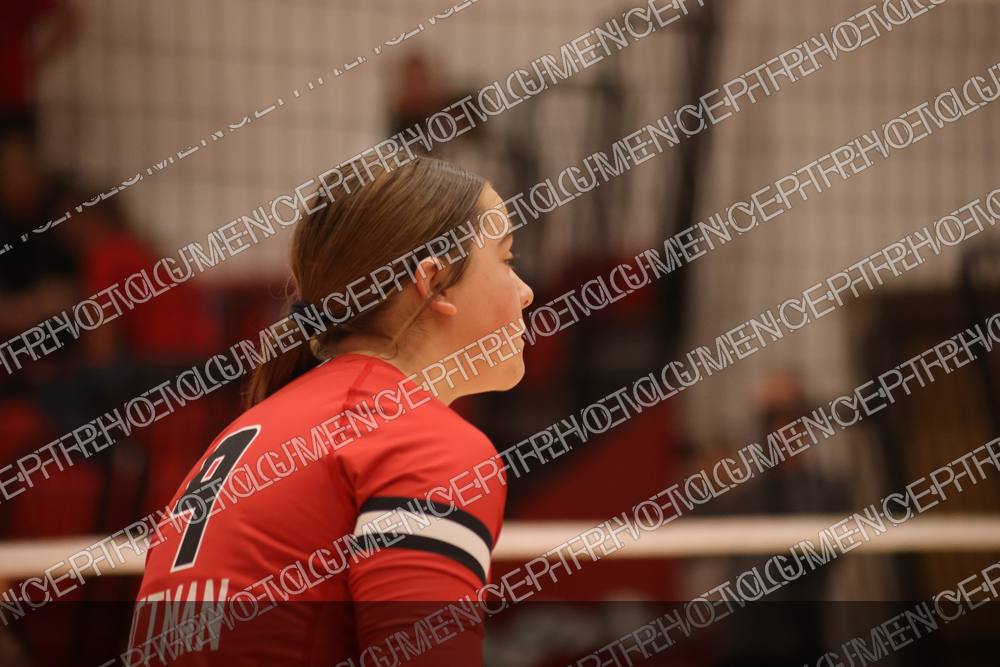 Photo preview