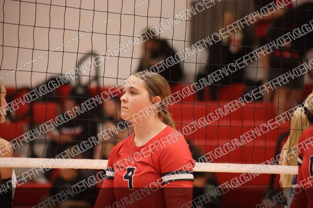 Photo preview