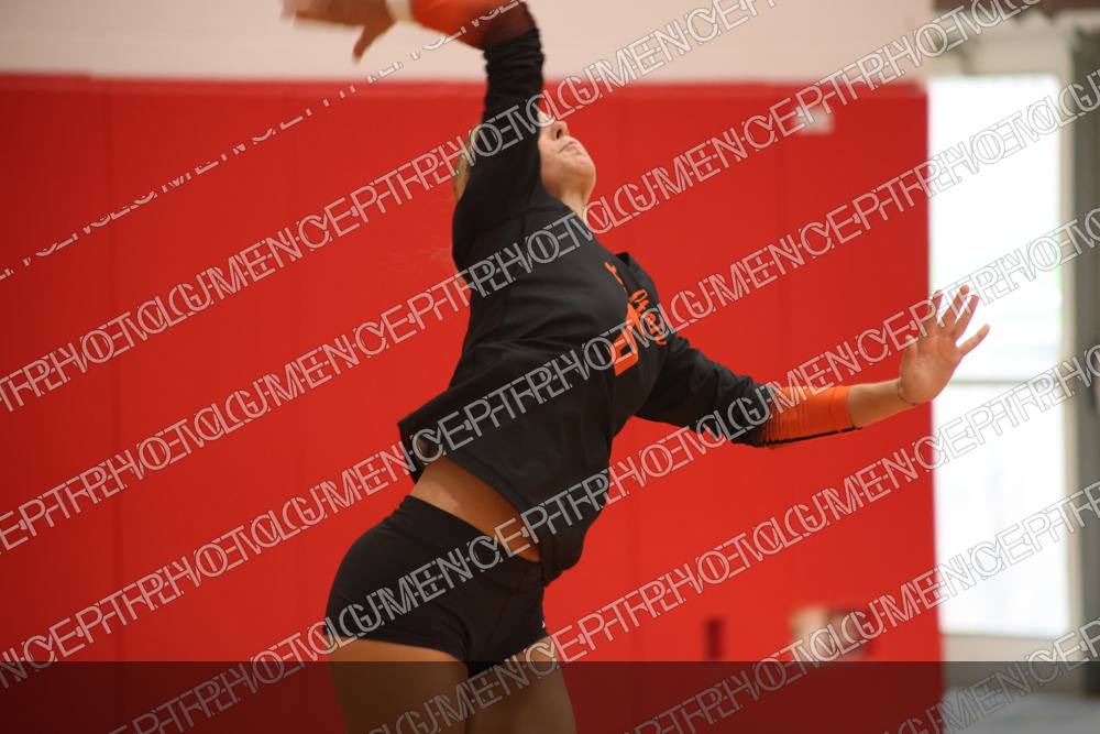 Photo preview