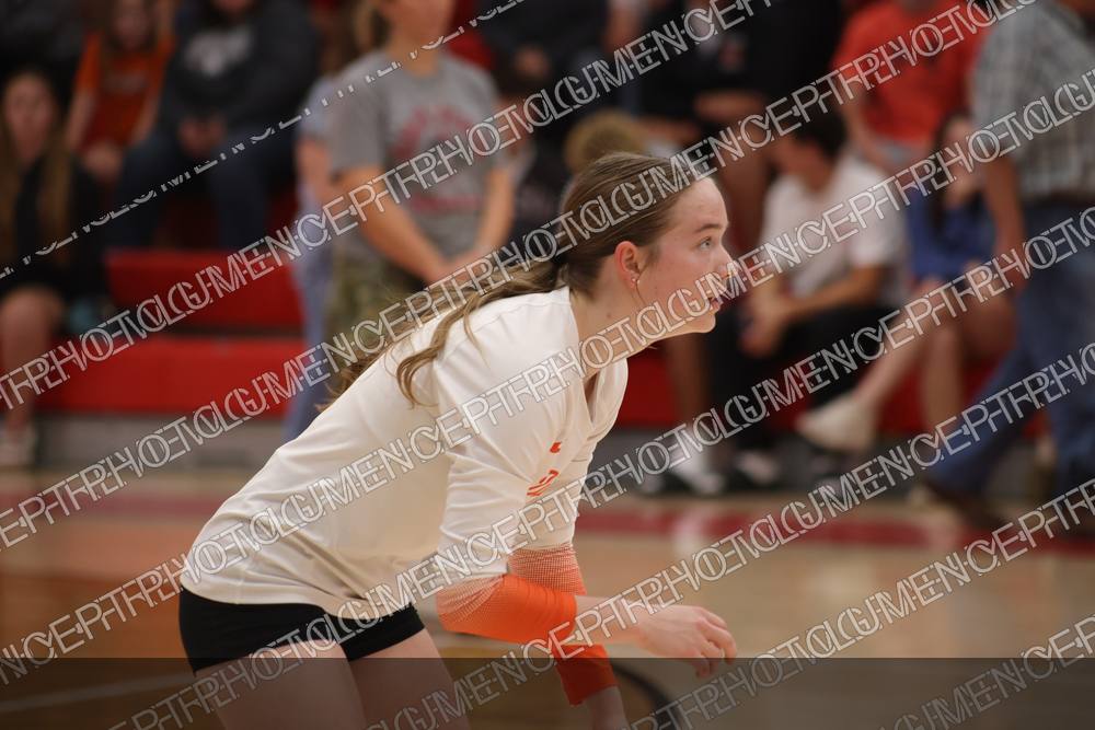 Photo preview