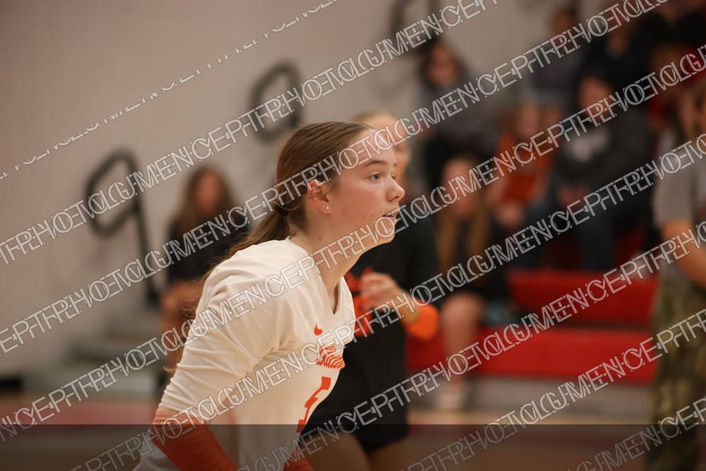 Photo preview