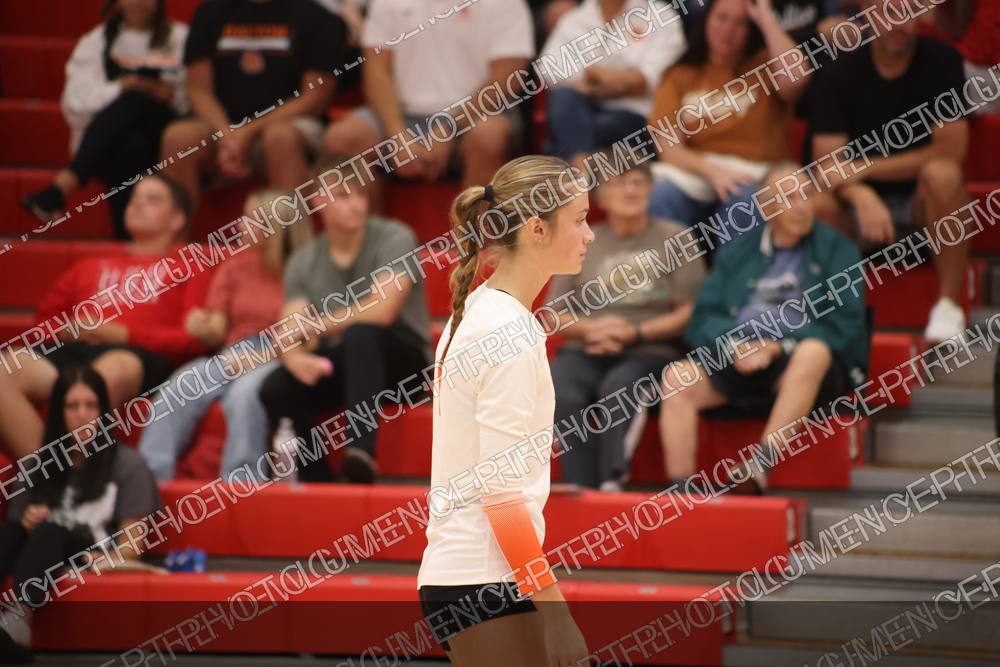 Photo preview
