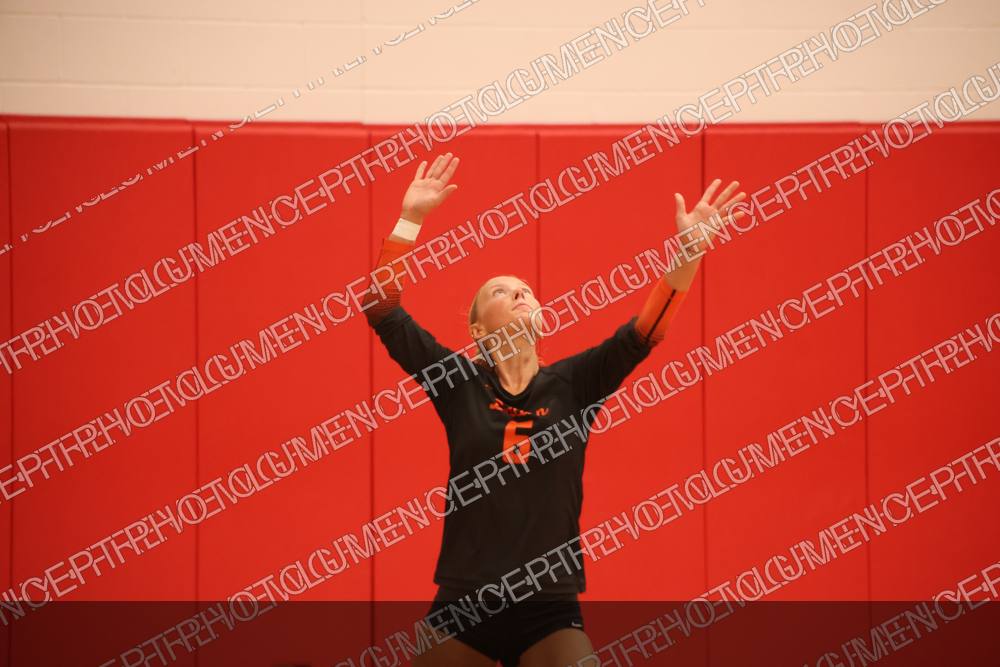 Photo preview