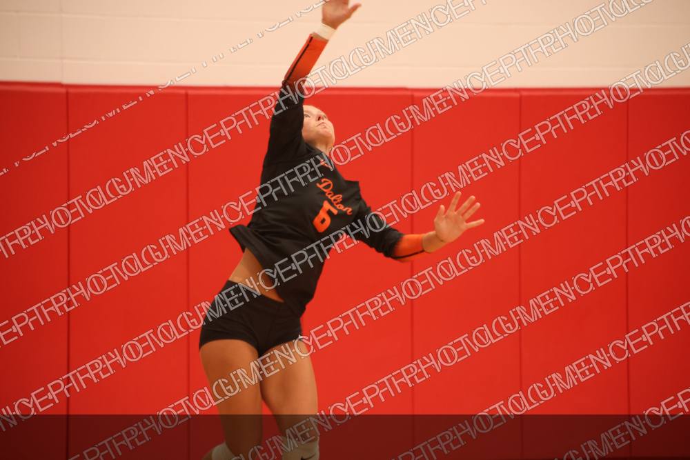 Photo preview
