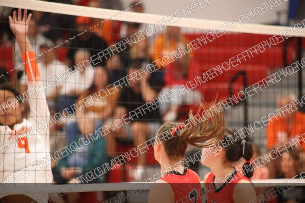Photo preview