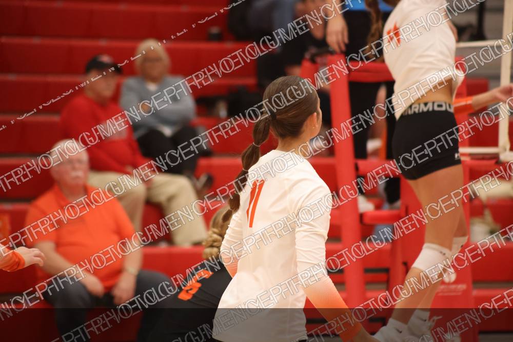 Photo preview