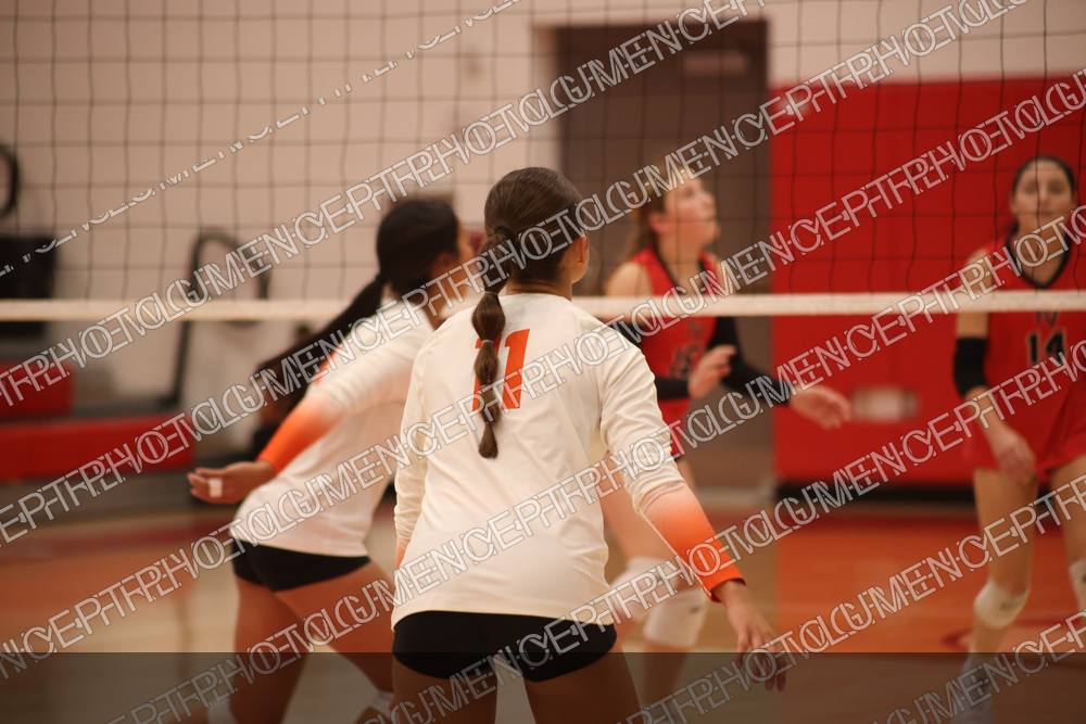 Photo preview