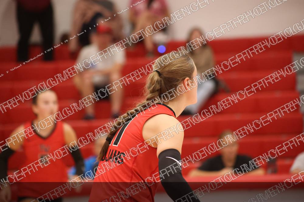 Photo preview
