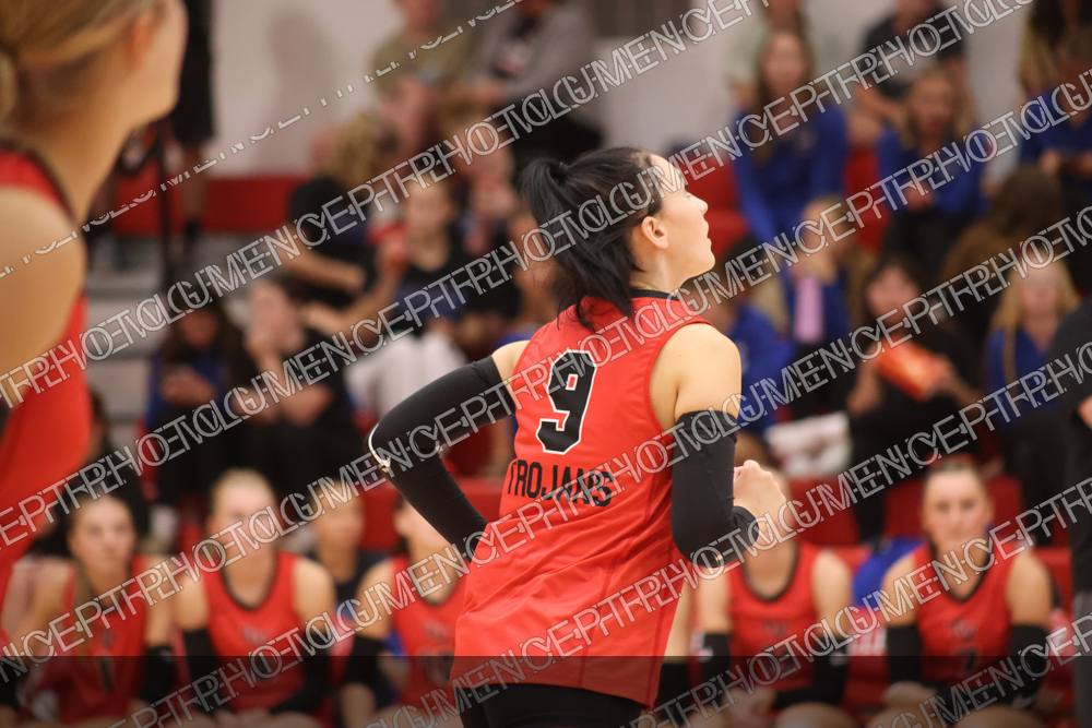 Photo preview