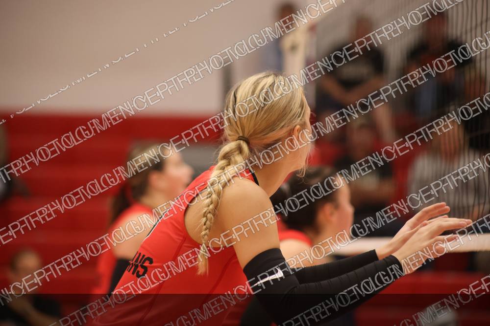 Photo preview