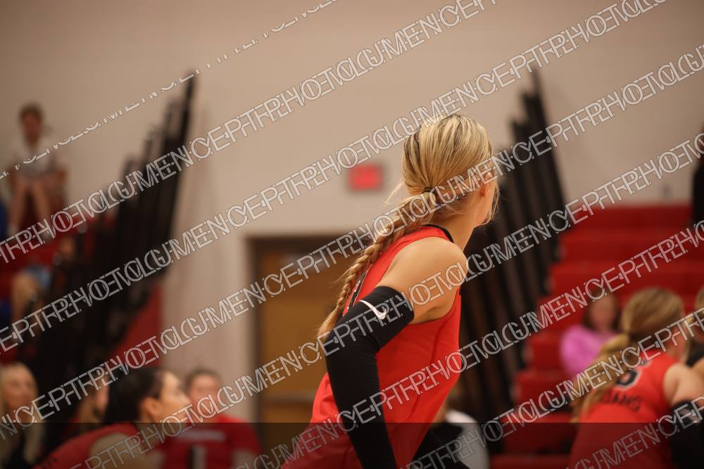 Photo preview