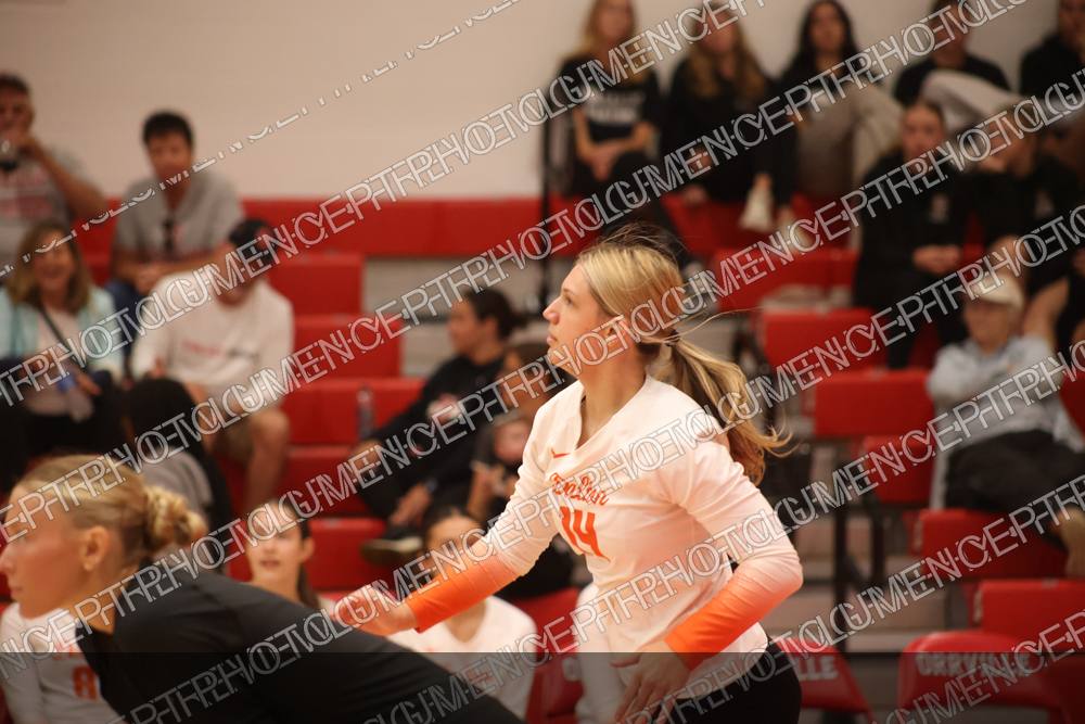 Photo preview