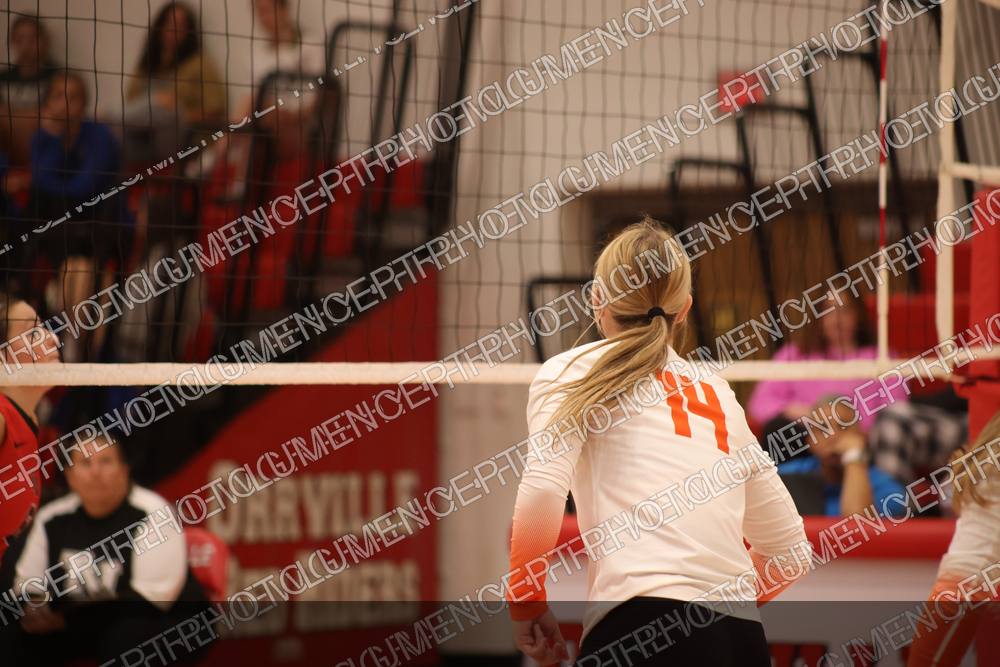 Photo preview