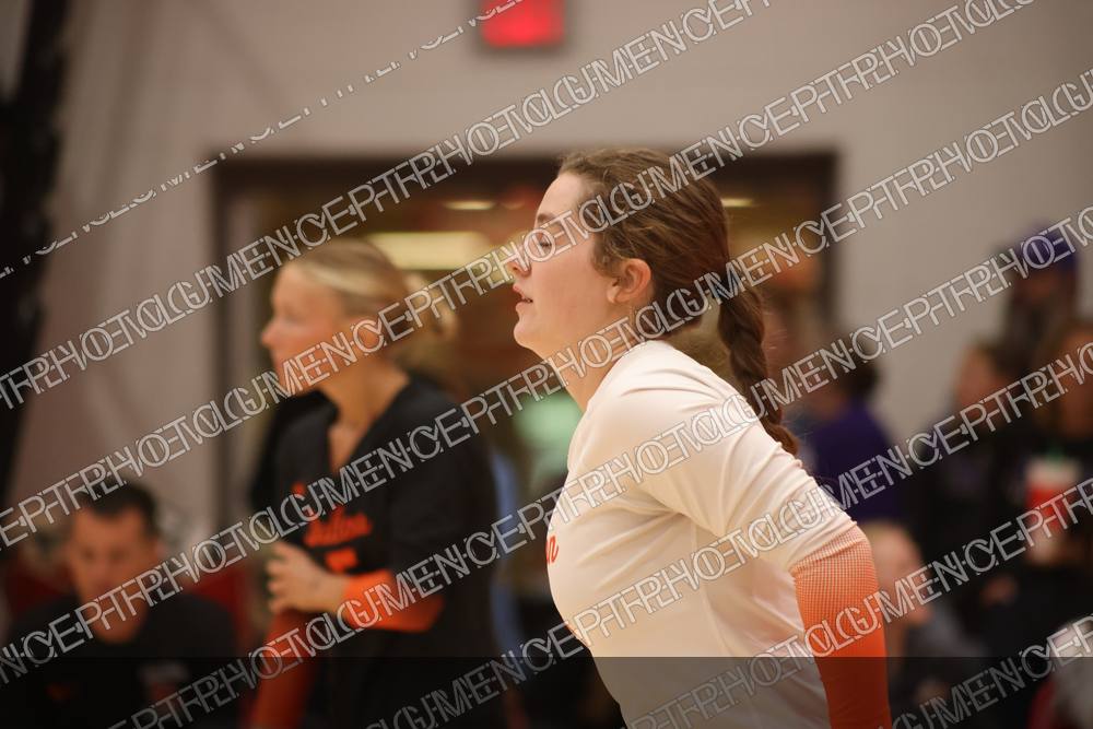 Photo preview