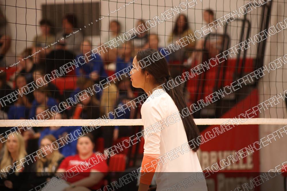 Photo preview