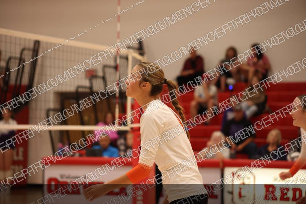 Photo preview