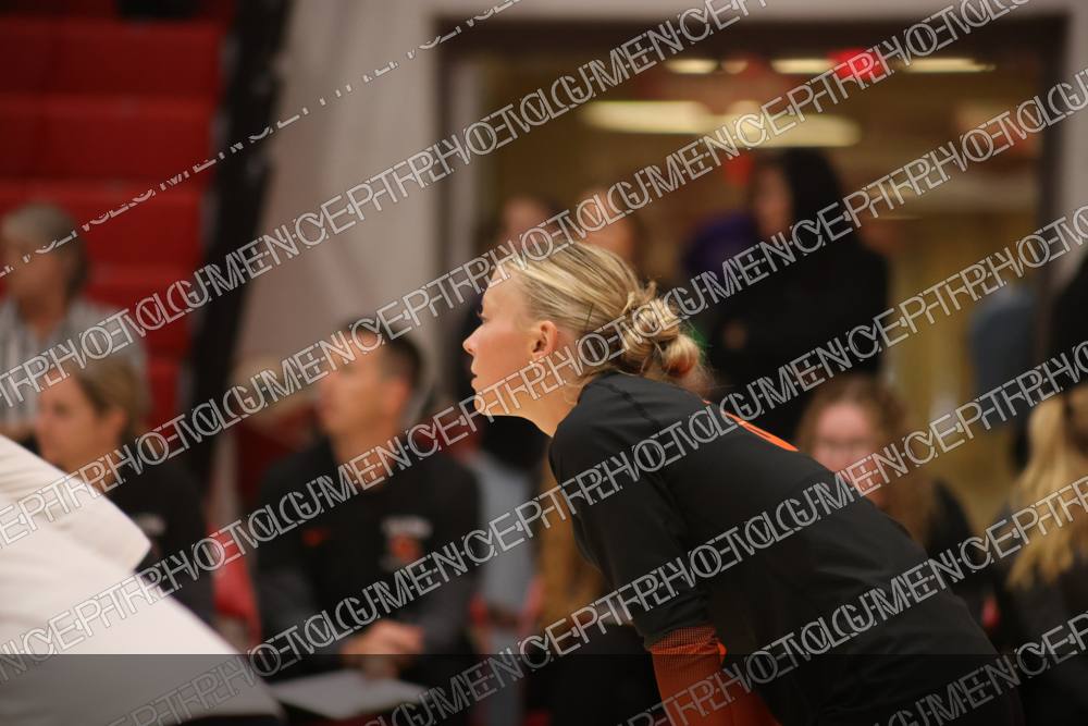 Photo preview