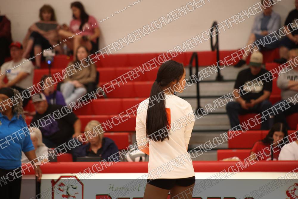 Photo preview