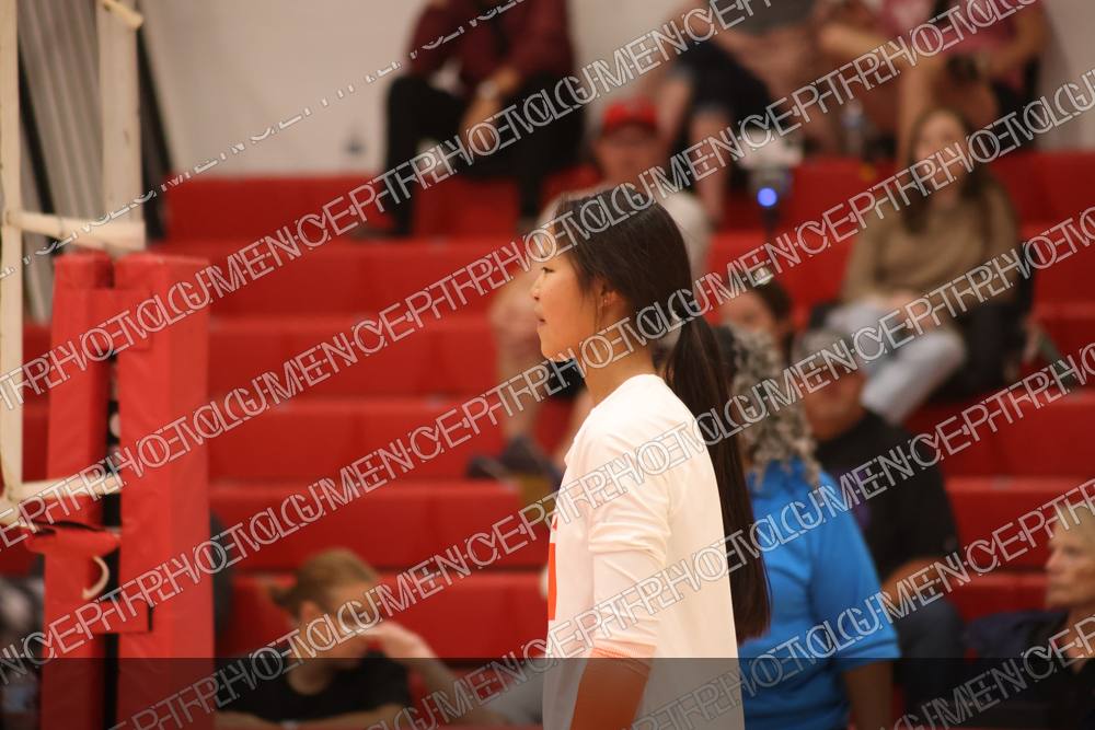 Photo preview