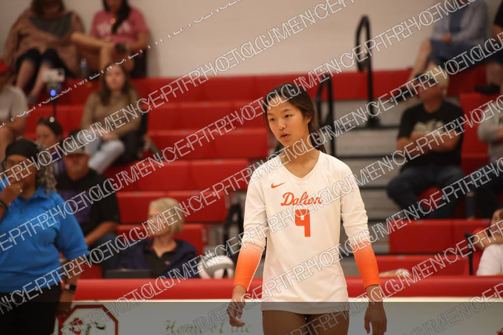 Photo preview