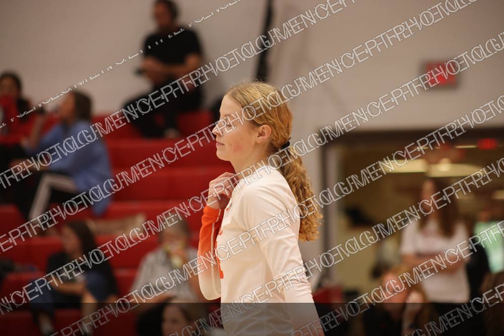 Photo preview