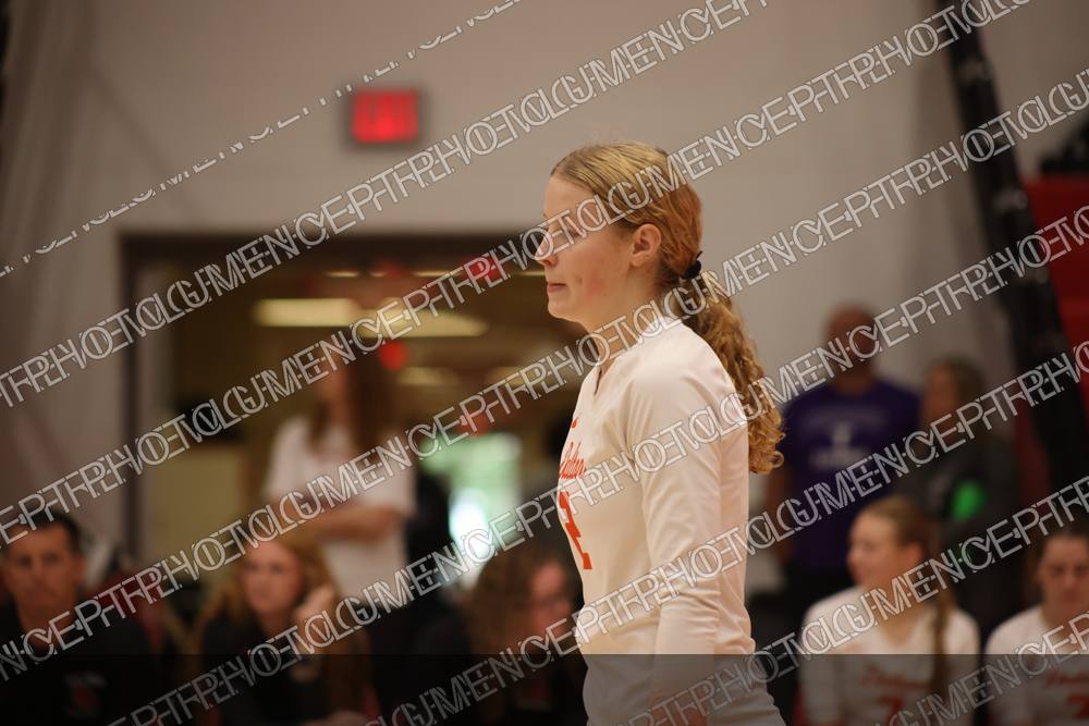 Photo preview