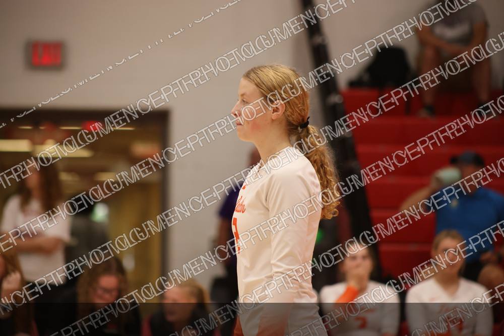 Photo preview
