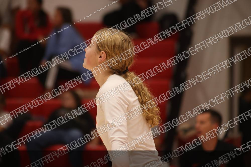 Photo preview