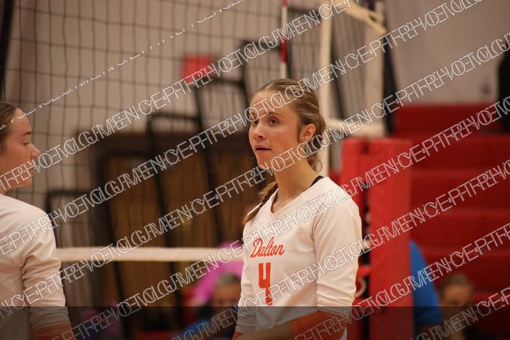 Photo preview
