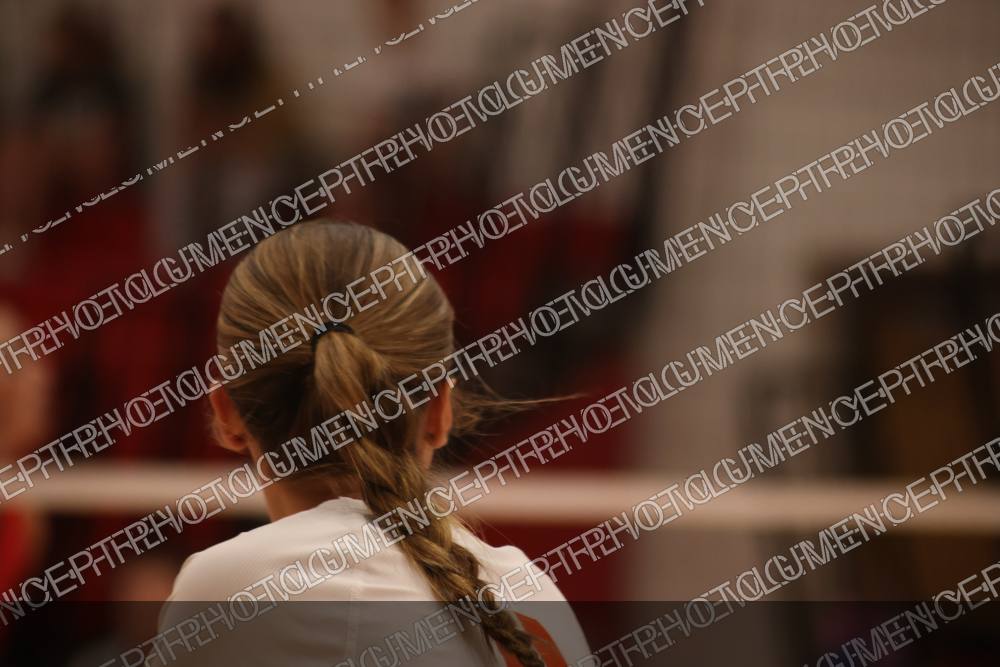 Photo preview