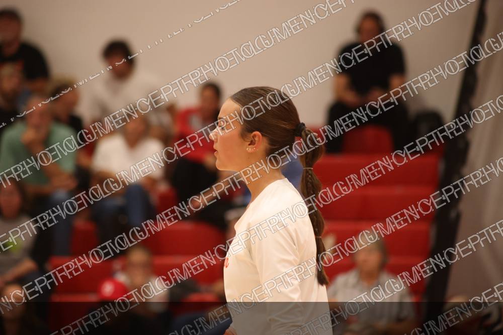 Photo preview