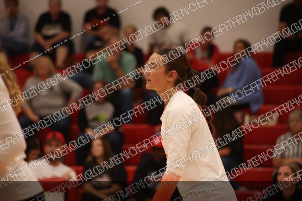 Photo preview