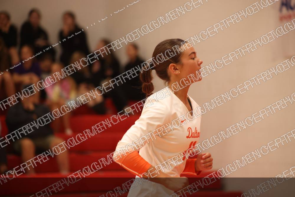 Photo preview