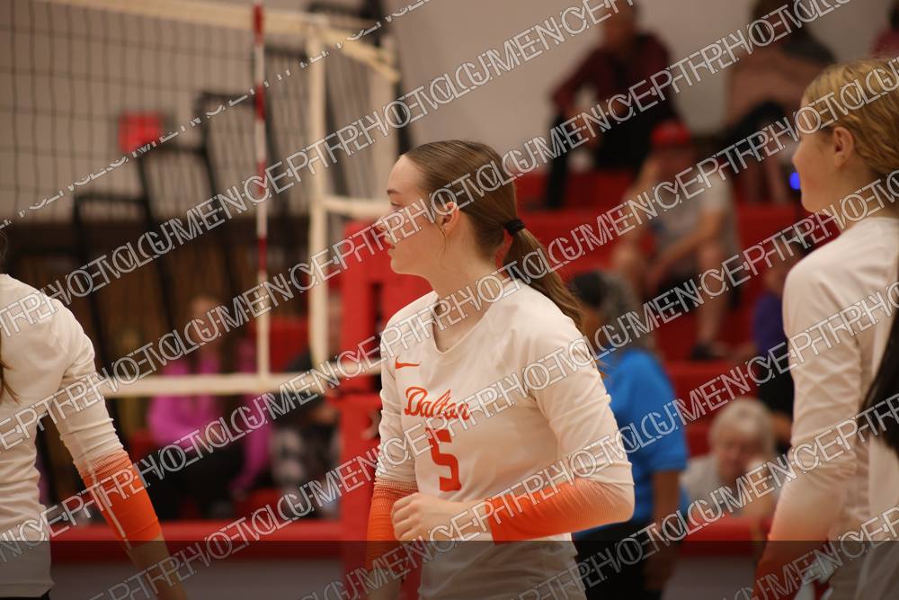 Photo preview