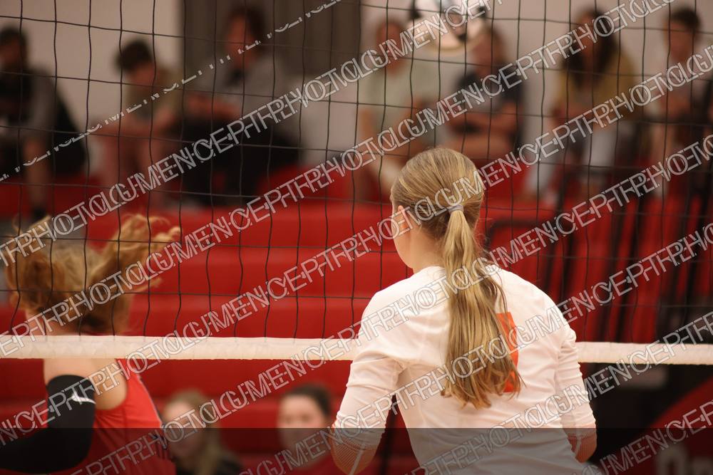 Photo preview