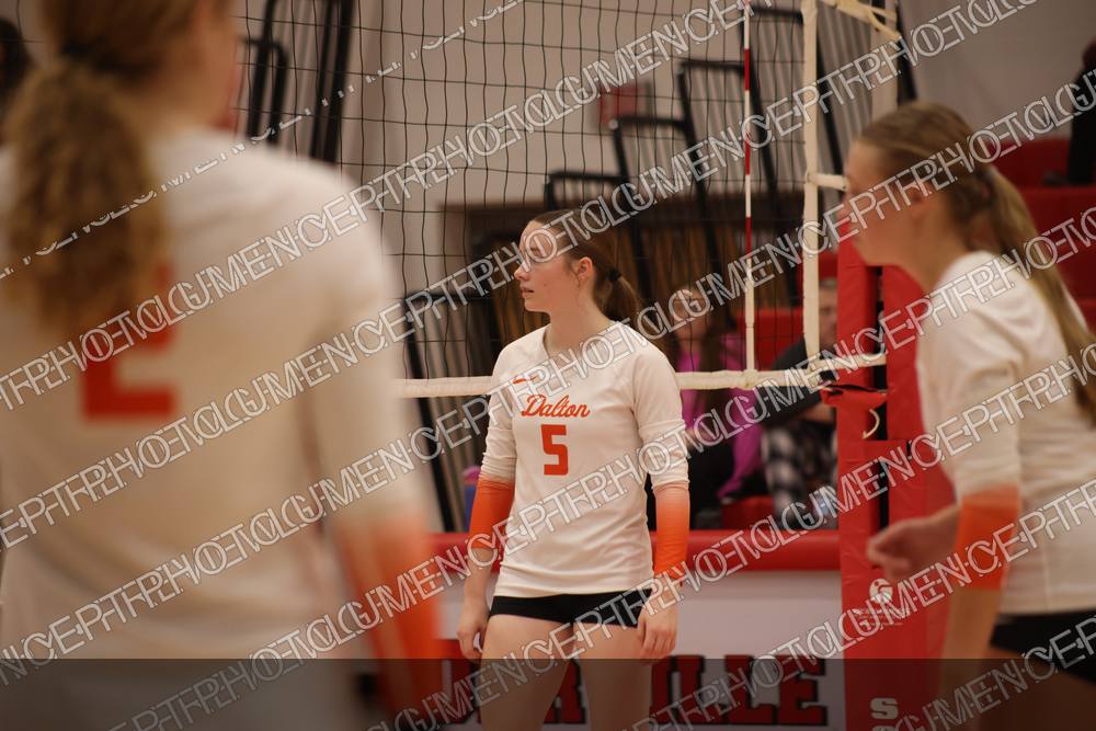 Photo preview