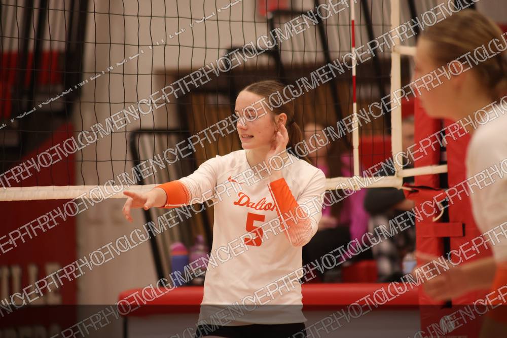 Photo preview